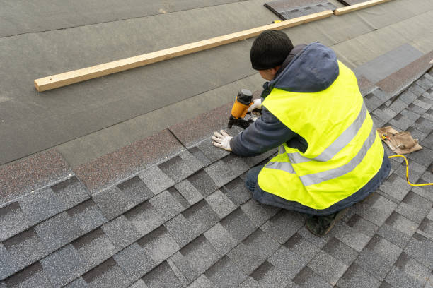 Best Roof Gutter Cleaning  in Victory Lakes, NJ