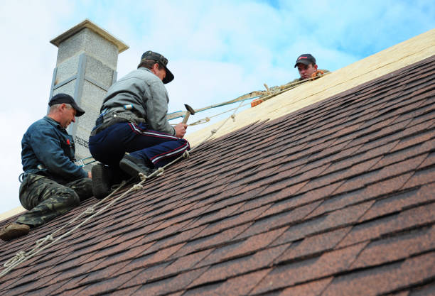 Best Local Roofing Companies  in Victory Lakes, NJ